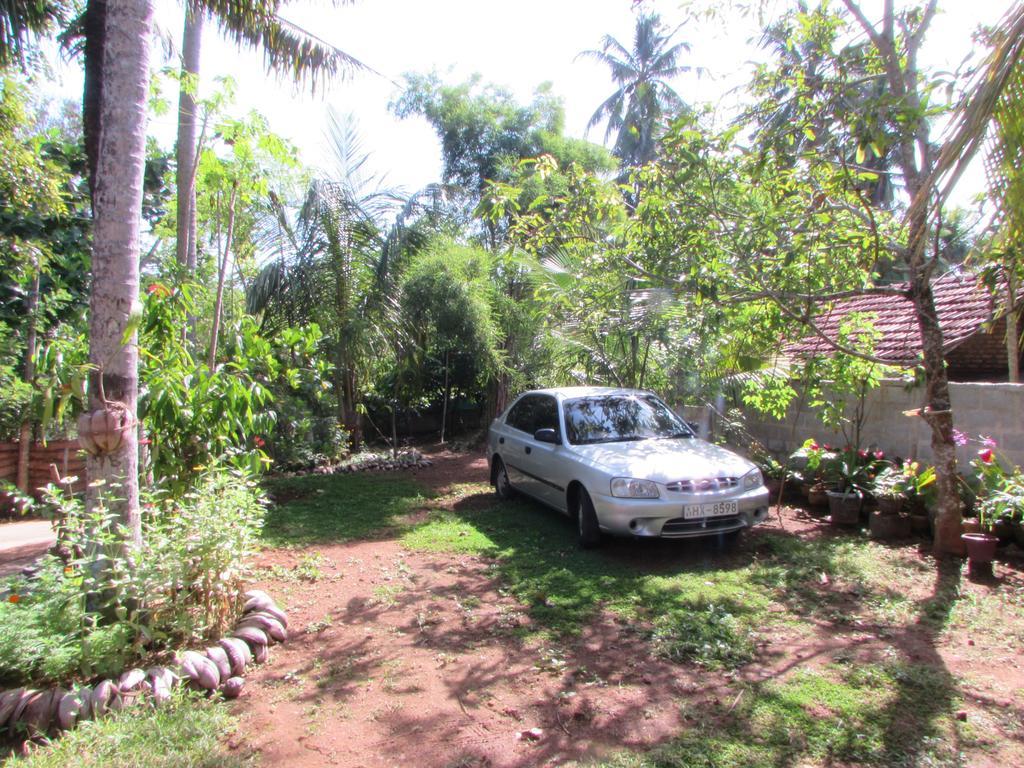 Rainbow Guest House Mirissa Ngoại thất bức ảnh