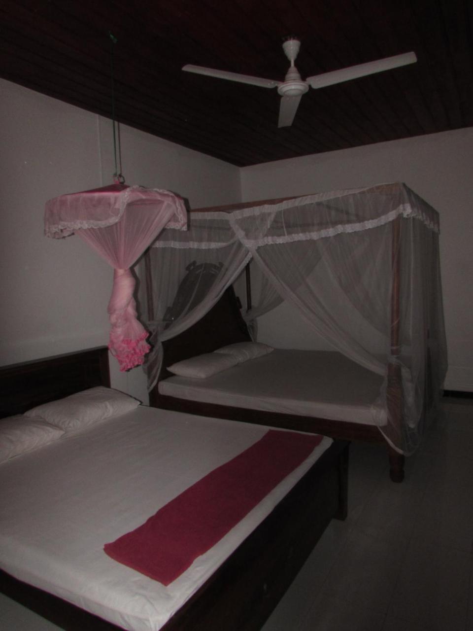 Rainbow Guest House Mirissa Ngoại thất bức ảnh